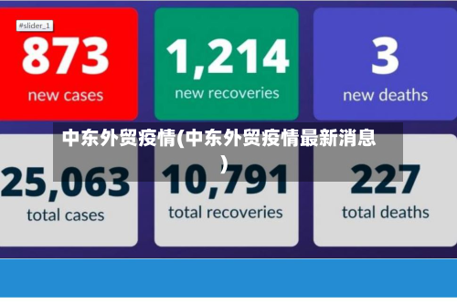 中东外贸疫情(中东外贸疫情最新消息)-第2张图片