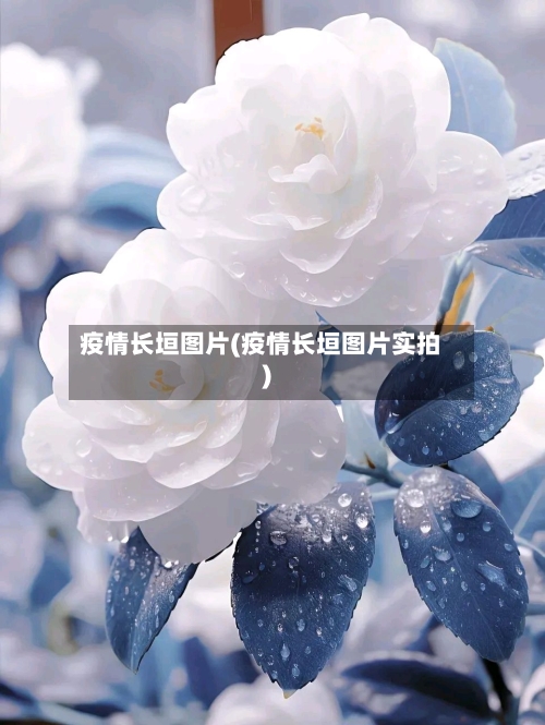 疫情长垣图片(疫情长垣图片实拍)-第1张图片