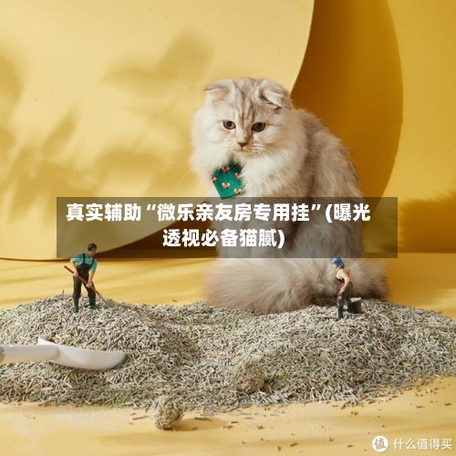 真实辅助“微乐亲友房专用挂”(曝光透视必备猫腻)-第2张图片