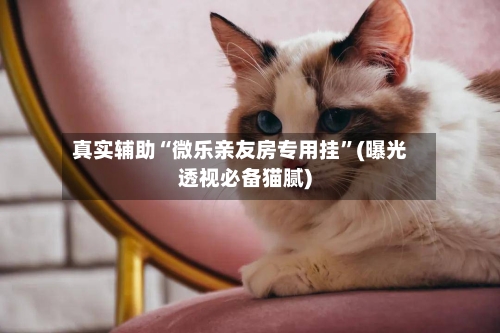 真实辅助“微乐亲友房专用挂	”(曝光透视必备猫腻)-第1张图片