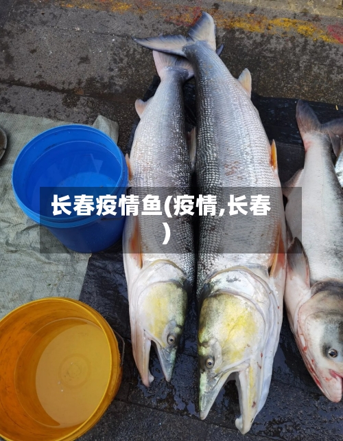 长春疫情鱼(疫情,长春)-第1张图片