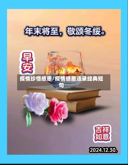 疫情珍惜感恩/疫情感恩语录经典短句-第2张图片