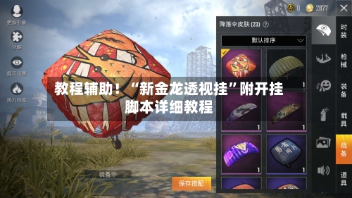 教程辅助！“新金龙透视挂”附开挂脚本详细教程-第3张图片