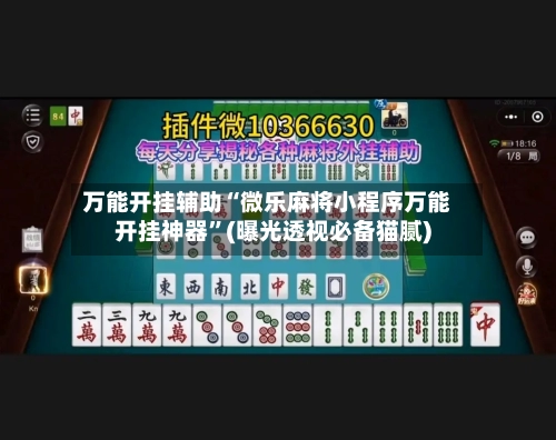 万能开挂辅助“微乐麻将小程序万能开挂神器”(曝光透视必备猫腻)-第1张图片