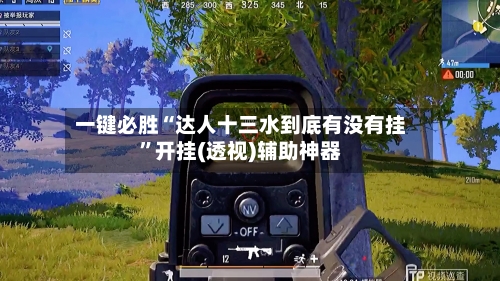 一键必胜“达人十三水到底有没有挂	”开挂(透视)辅助神器-第1张图片