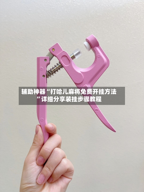 辅助神器“打哈儿麻将免费开挂方法”详细分享装挂步骤教程-第3张图片