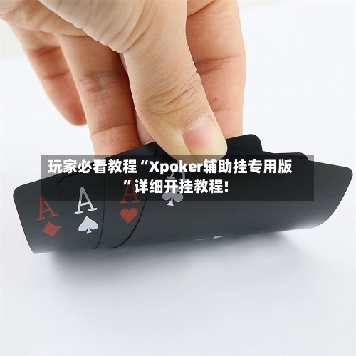 玩家必看教程“Xpoker辅助挂专用版”详细开挂教程!-第3张图片