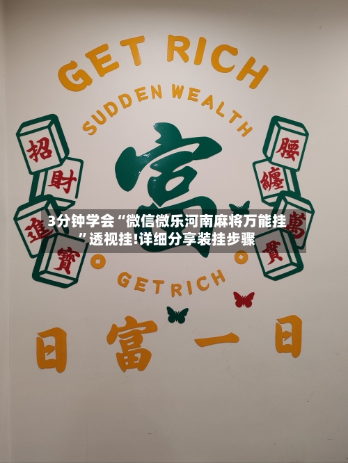 3分钟学会“微信微乐河南麻将万能挂	”透视挂!详细分享装挂步骤-第2张图片