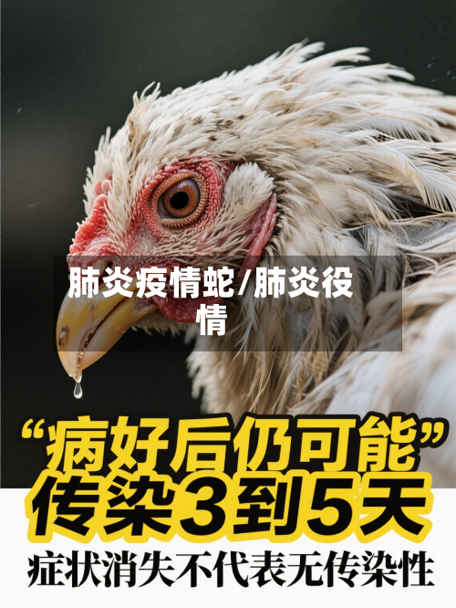 肺炎疫情蛇/肺炎役情-第3张图片