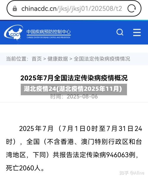 湖北疫情24(湖北疫情2025年11月)-第1张图片