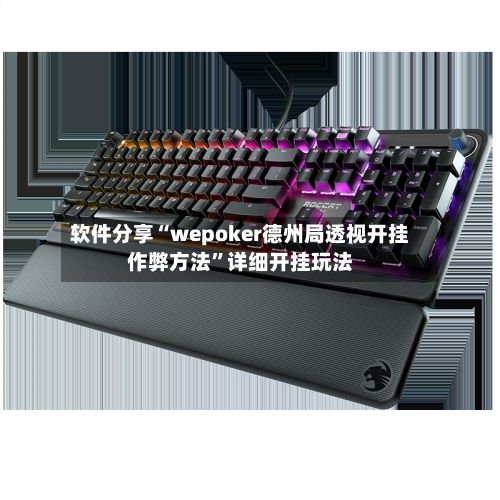 软件分享“wepoker德州局透视开挂作弊方法	”详细开挂玩法-第1张图片