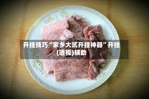 开挂技巧“家乡大贰开挂神器	”开挂(透视)辅助-第3张图片