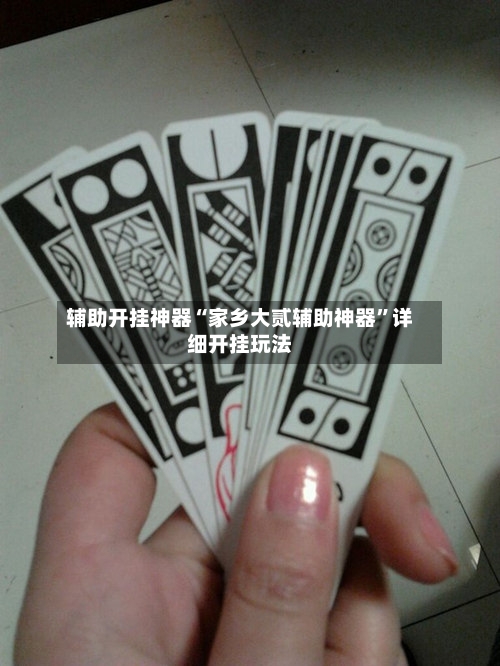 辅助开挂神器“家乡大贰辅助神器	”详细开挂玩法-第1张图片