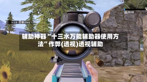 辅助神器“十三水万能辅助器使用方法”作弊(透视)透视辅助-第3张图片