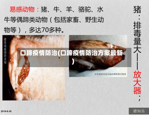 口蹄疫情防治(口蹄疫情防治方案最新)-第3张图片
