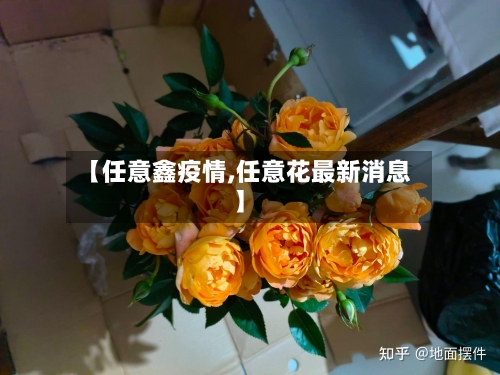 【任意鑫疫情,任意花最新消息】-第1张图片
