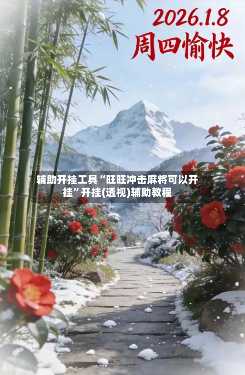 辅助开挂工具“旺旺冲击麻将可以开挂	”开挂(透视)辅助教程-第3张图片