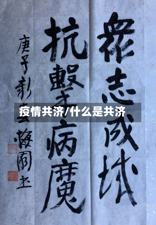 疫情共济/什么是共济-第3张图片