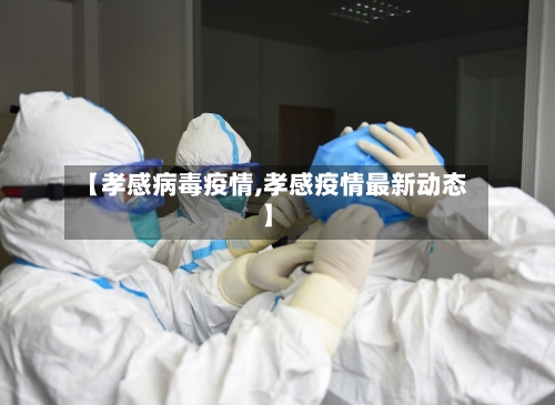 【孝感病毒疫情,孝感疫情最新动态】-第2张图片