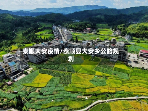 泰顺大安疫情/泰顺县大安乡公路规划-第2张图片