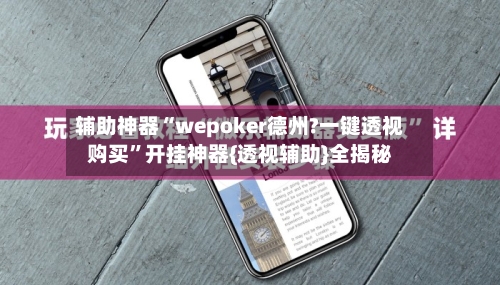 辅助神器“wepoker德州?一键透视购买”开挂神器{透视辅助}全揭秘-第2张图片