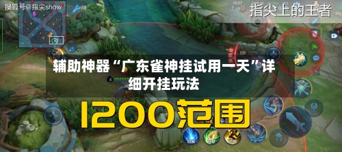 辅助神器“广东雀神挂试用一天”详细开挂玩法-第1张图片