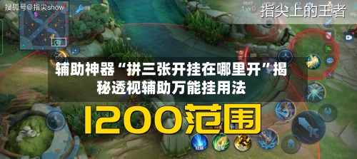 辅助神器“拼三张开挂在哪里开”揭秘透视辅助万能挂用法-第3张图片