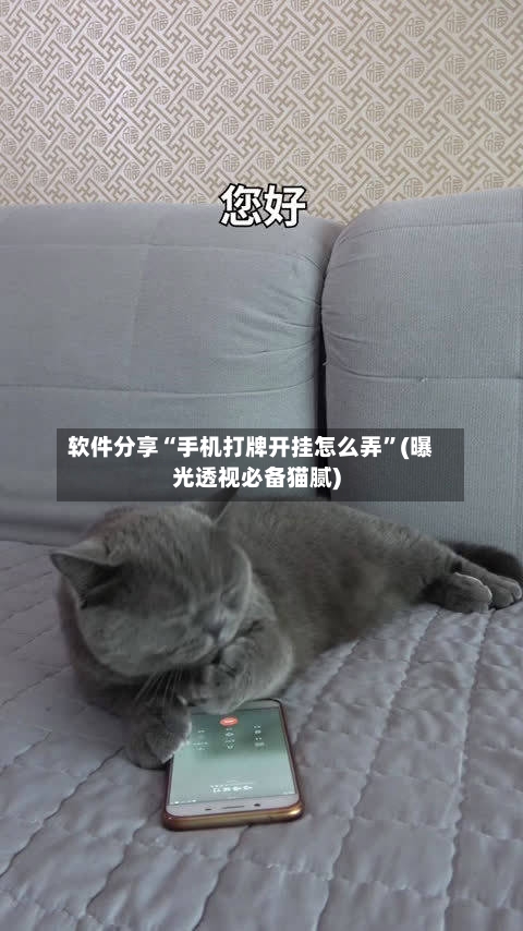 软件分享“手机打牌开挂怎么弄	”(曝光透视必备猫腻)-第2张图片