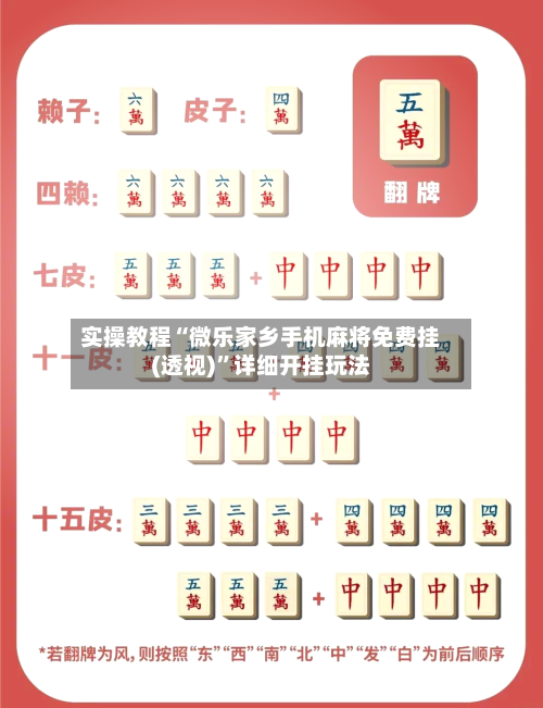 实操教程“微乐家乡手机麻将免费挂(透视)	”详细开挂玩法-第2张图片