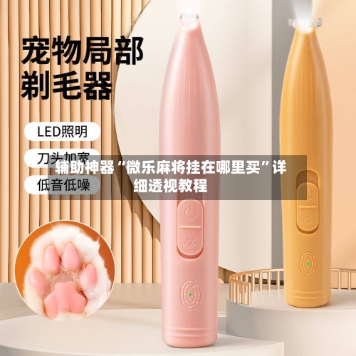 辅助神器“微乐麻将挂在哪里买”详细透视教程-第1张图片