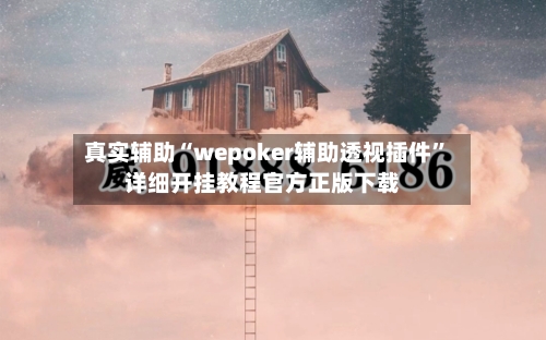 真实辅助“wepoker辅助透视插件”详细开挂教程官方正版下载-第1张图片