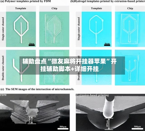 辅助盘点“微友麻将开挂器苹果	”开挂辅助脚本+详细开挂-第2张图片