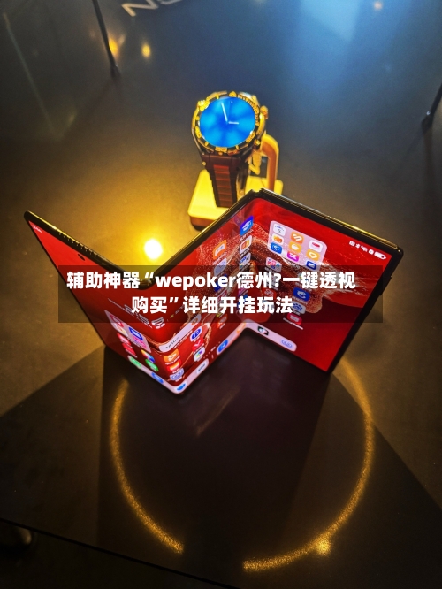 辅助神器“wepoker德州?一键透视购买”详细开挂玩法-第3张图片