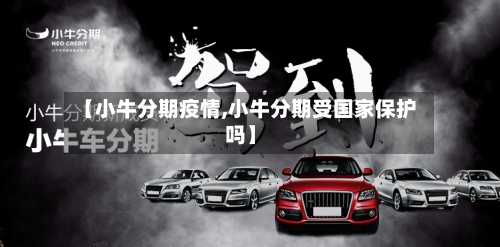 【小牛分期疫情,小牛分期受国家保护吗】-第2张图片