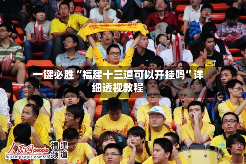 一键必胜“福建十三道可以开挂吗”详细透视教程-第1张图片