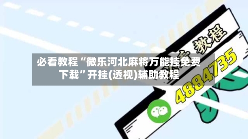 必看教程“微乐河北麻将万能挂免费下载	”开挂(透视)辅助教程-第2张图片