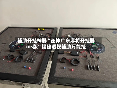 辅助开挂神器“雀神广东麻将开挂器ios版”揭秘透视辅助万能挂-第2张图片