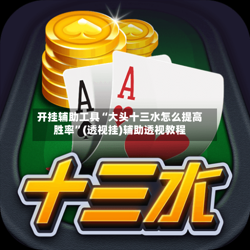 开挂辅助工具“大头十三水怎么提高胜率”(透视挂)辅助透视教程-第3张图片