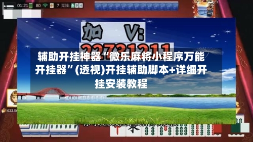 辅助开挂神器“微乐麻将小程序万能开挂器	”(透视)开挂辅助脚本+详细开挂安装教程-第2张图片