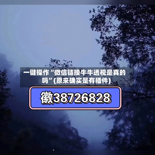 一键操作“微信链接牛牛透视是真的吗”(原来确实是有插件)-第3张图片