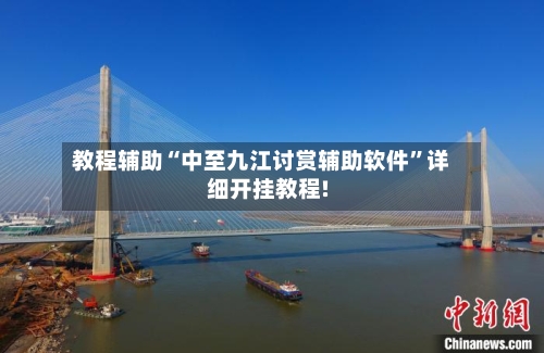 教程辅助“中至九江讨赏辅助软件	”详细开挂教程!-第2张图片