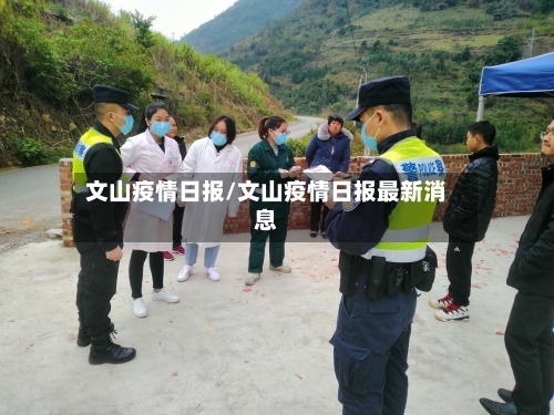 文山疫情日报/文山疫情日报最新消息-第3张图片