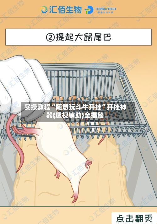 实操教程“随意玩斗牛开挂”开挂神器{透视辅助}全揭秘-第3张图片