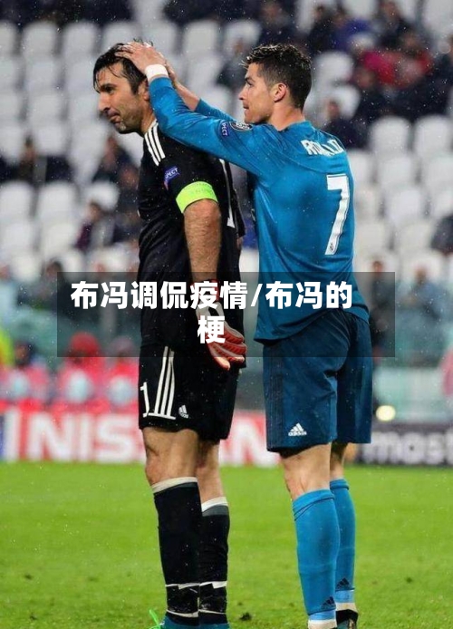 布冯调侃疫情/布冯的梗-第1张图片
