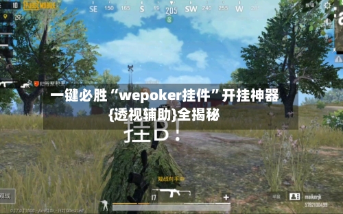 一键必胜“wepoker挂件	”开挂神器{透视辅助}全揭秘-第2张图片