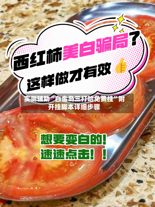 实测辅助“白金岛三打哈免费挂”附开挂脚本详细步骤-第2张图片