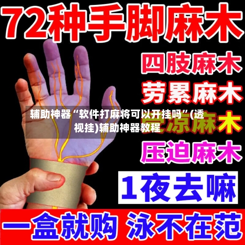 辅助神器“软件打麻将可以开挂吗”(透视挂)辅助神器教程-第3张图片