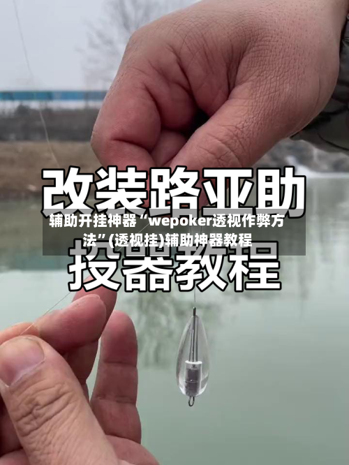 辅助开挂神器“wepoker透视作弊方法	”(透视挂)辅助神器教程-第2张图片