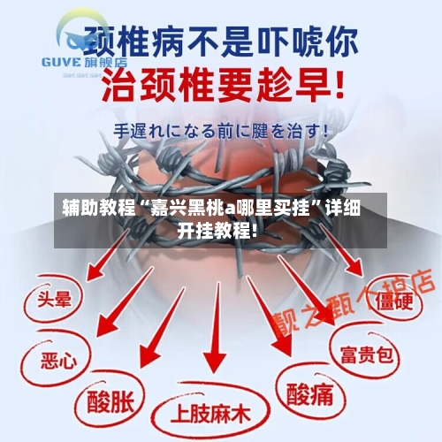 辅助教程“嘉兴黑桃a哪里买挂”详细开挂教程!-第3张图片