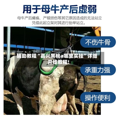 辅助教程“嘉兴黑桃a哪里买挂”详细开挂教程!-第1张图片